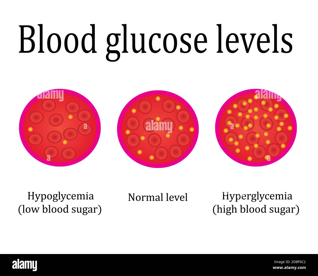 regulations blood sugar level control medical lab analysis vector illustration infographics