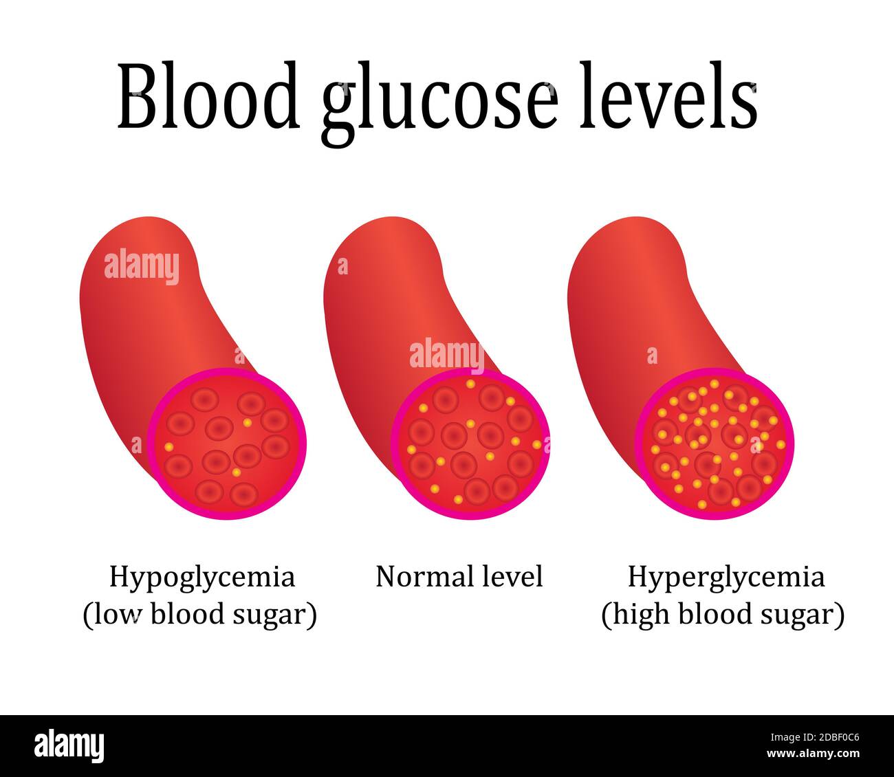 regulations blood sugar level control medical lab analysis vector
