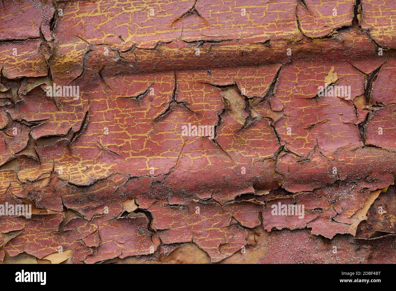 Layers of paint hires stock photography and images Alamy