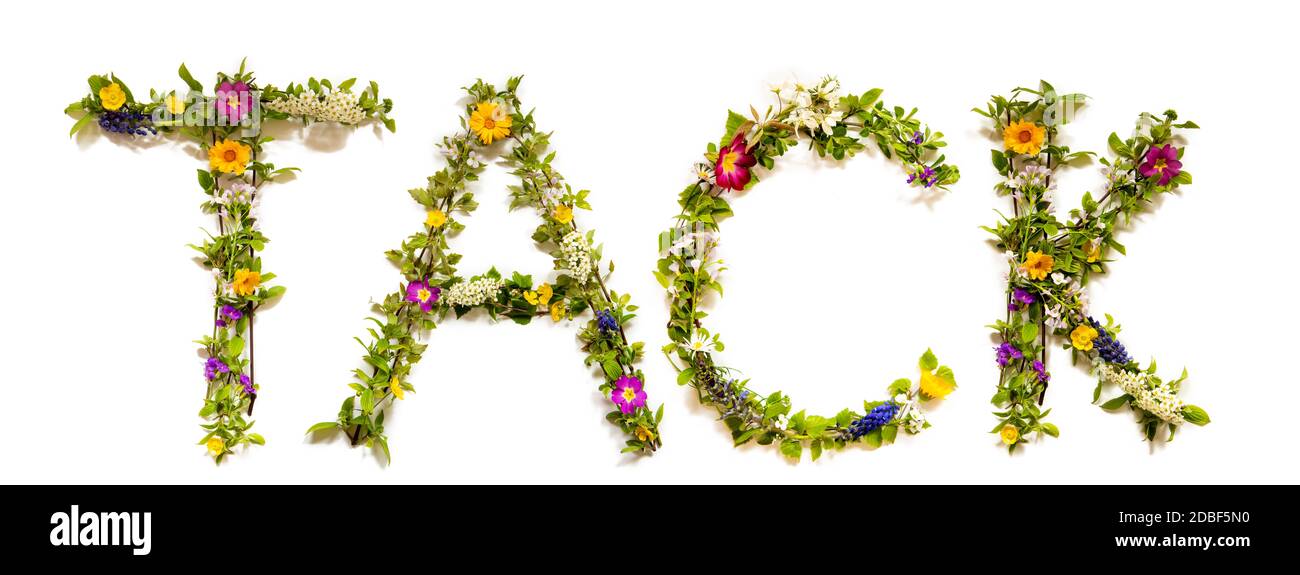 Flower, Branches And Blossom Letter Building Swedish Word Tack Means