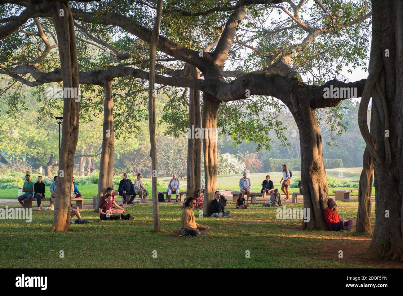 Auroville, India - February 2019: Collective meditation under the banyan tree in the Matrimandir gardens Stock Photo