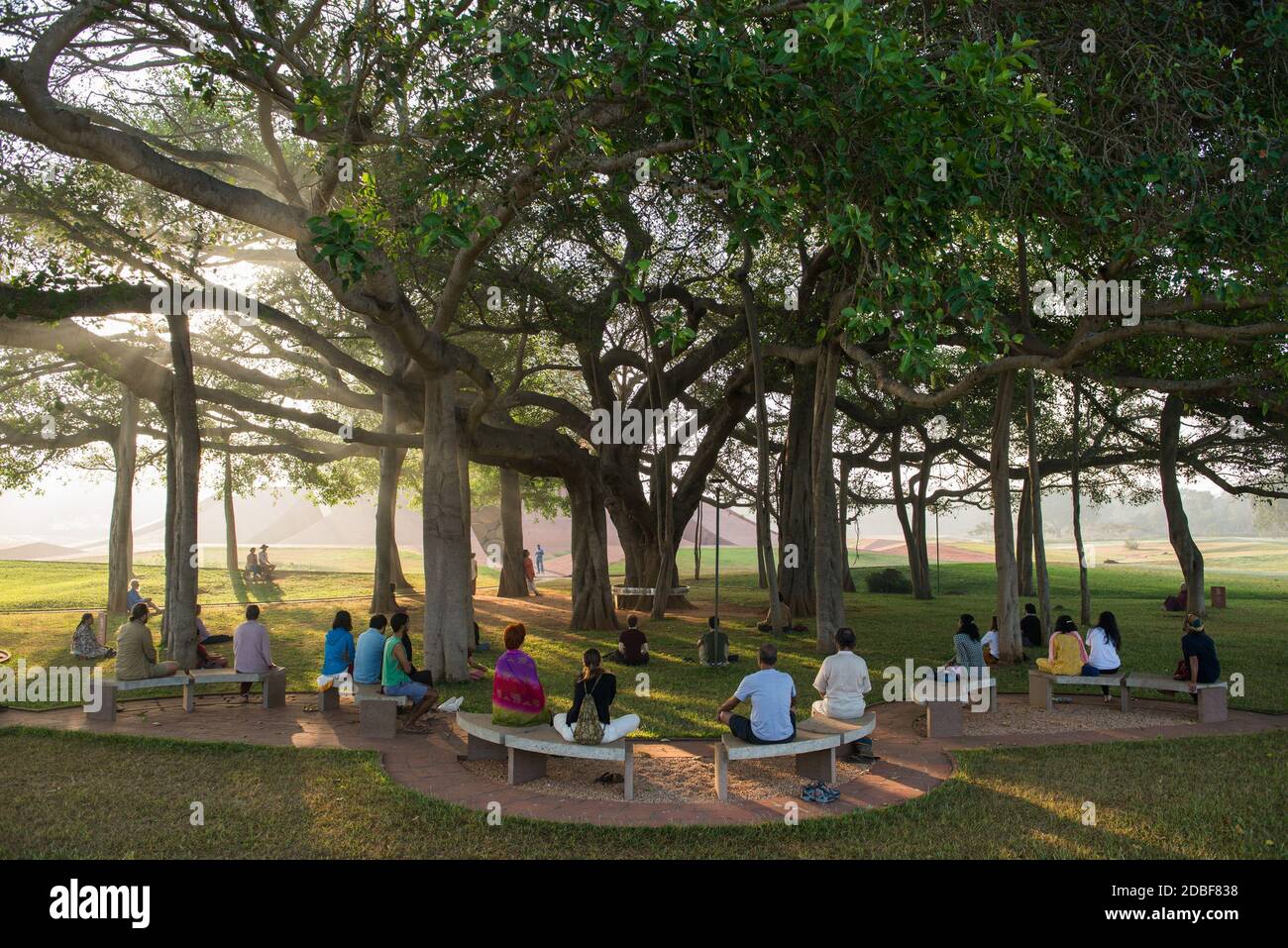 Auroville, India - February 2019: Collective meditation under the banyan tree in the Matrimandir gardens Stock Photo