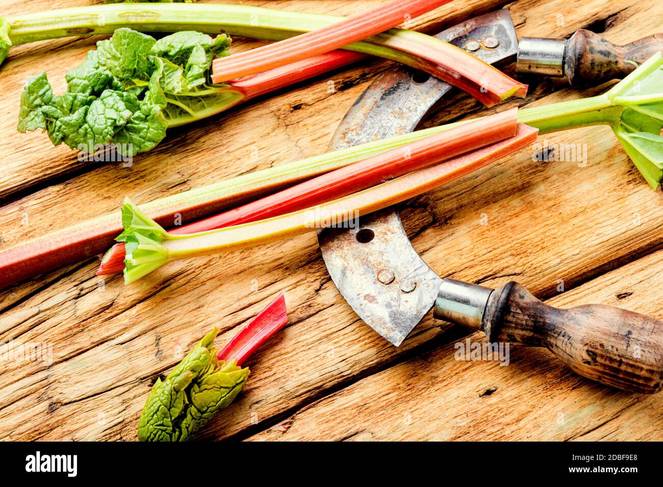 Fibrous stem hi-res stock photography and images - Alamy