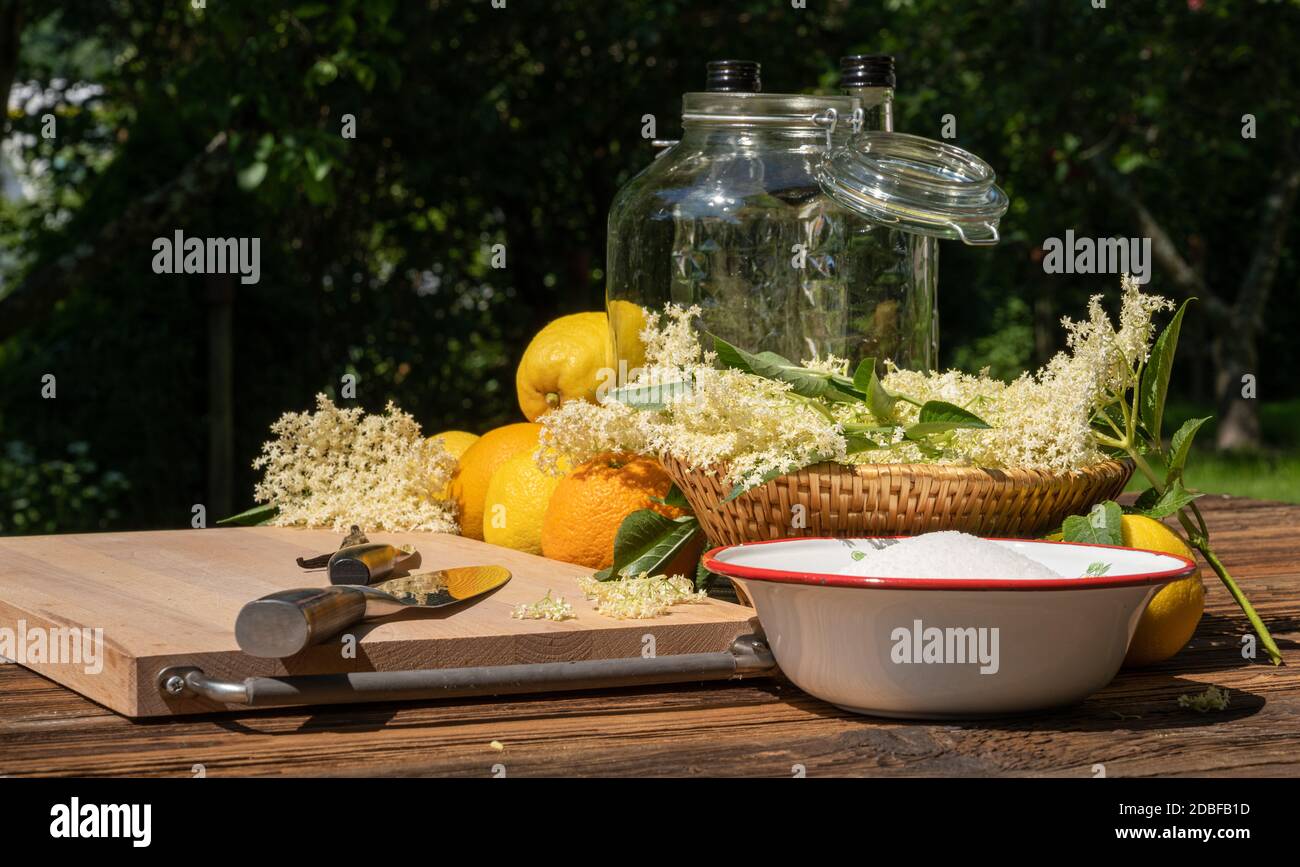 The elderflowers and other ingredients and kitchen utensils for a homemade elderflower liqueur are on a wooden table in the garden Stock Photo