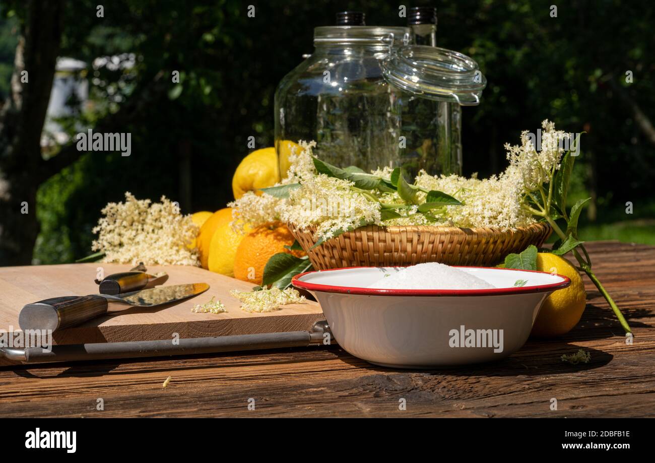 The elderflowers and other ingredients and kitchen utensils for a homemade elderflower liqueur are on a wooden table in the garden Stock Photo