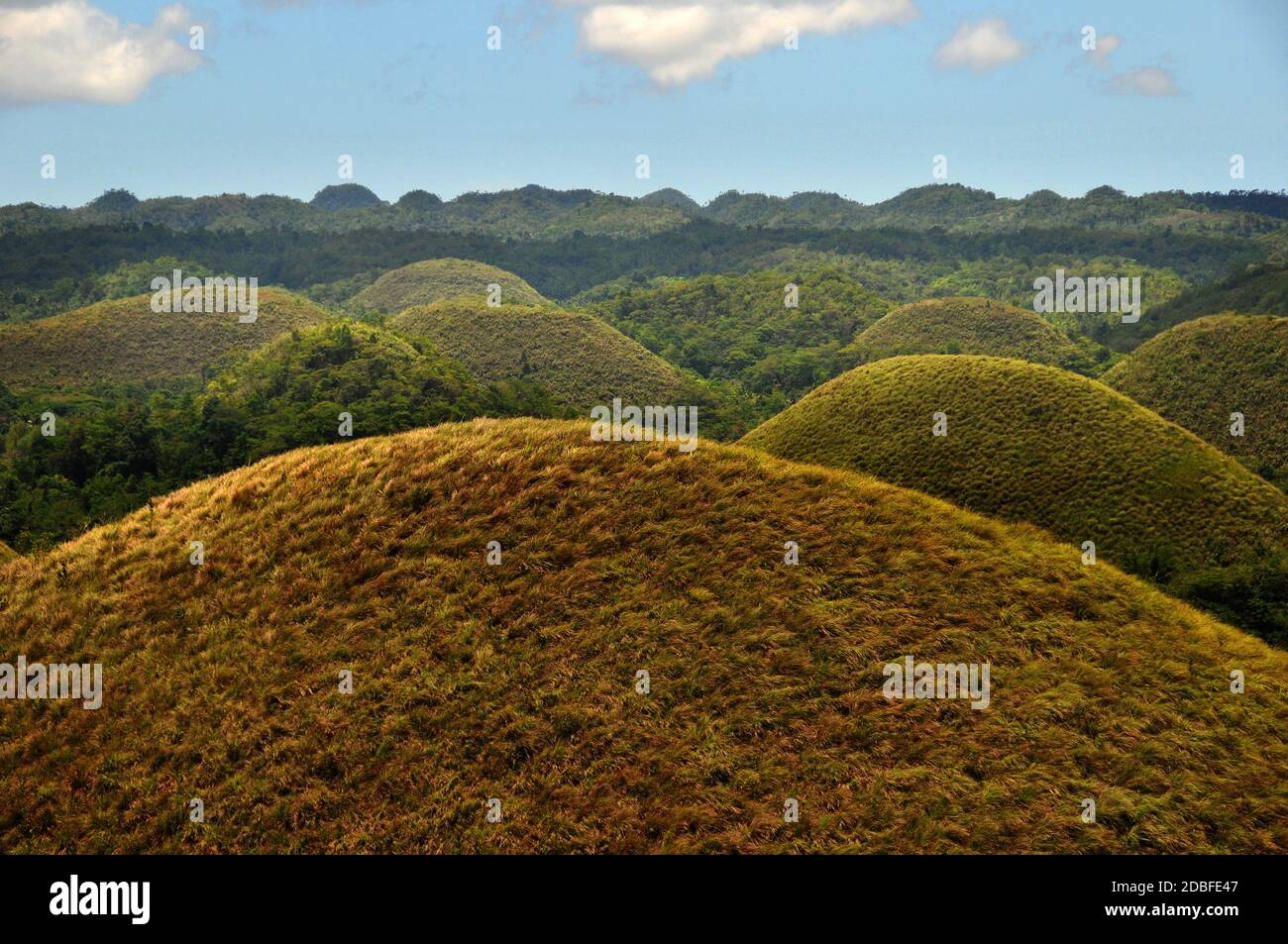 the Chocolate Hills on Bohol in the Philippines Stock Photo Alamy