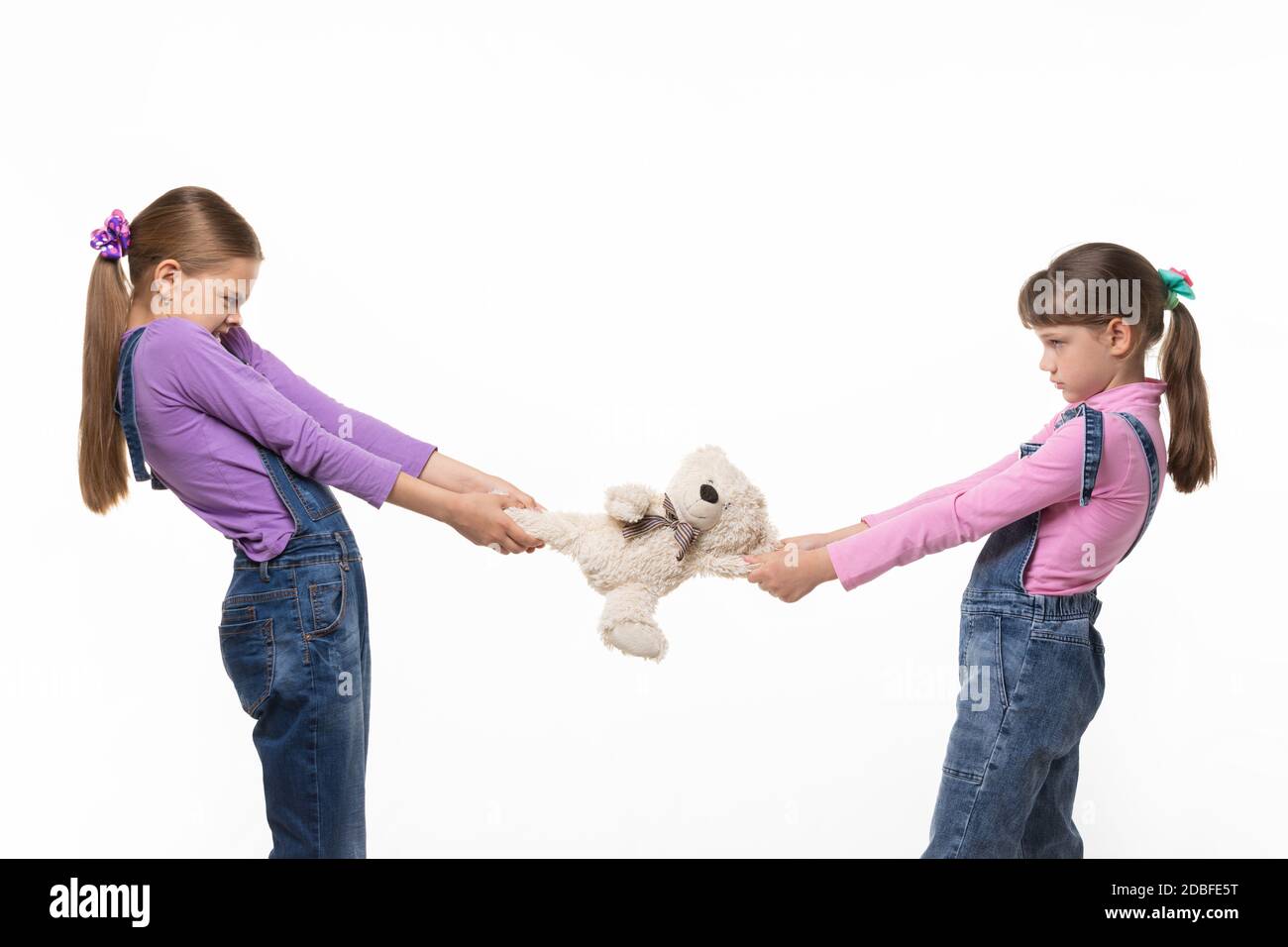 Girls pull teddy bear at each other on white background Stock Photo - Alamy