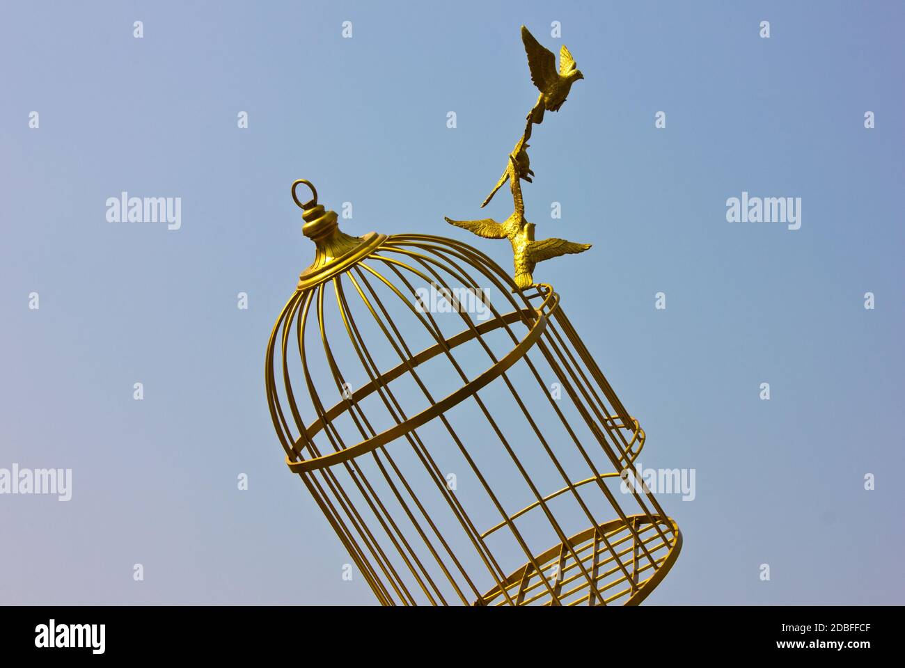 art empty bird golden cage Stock Photo Alamy