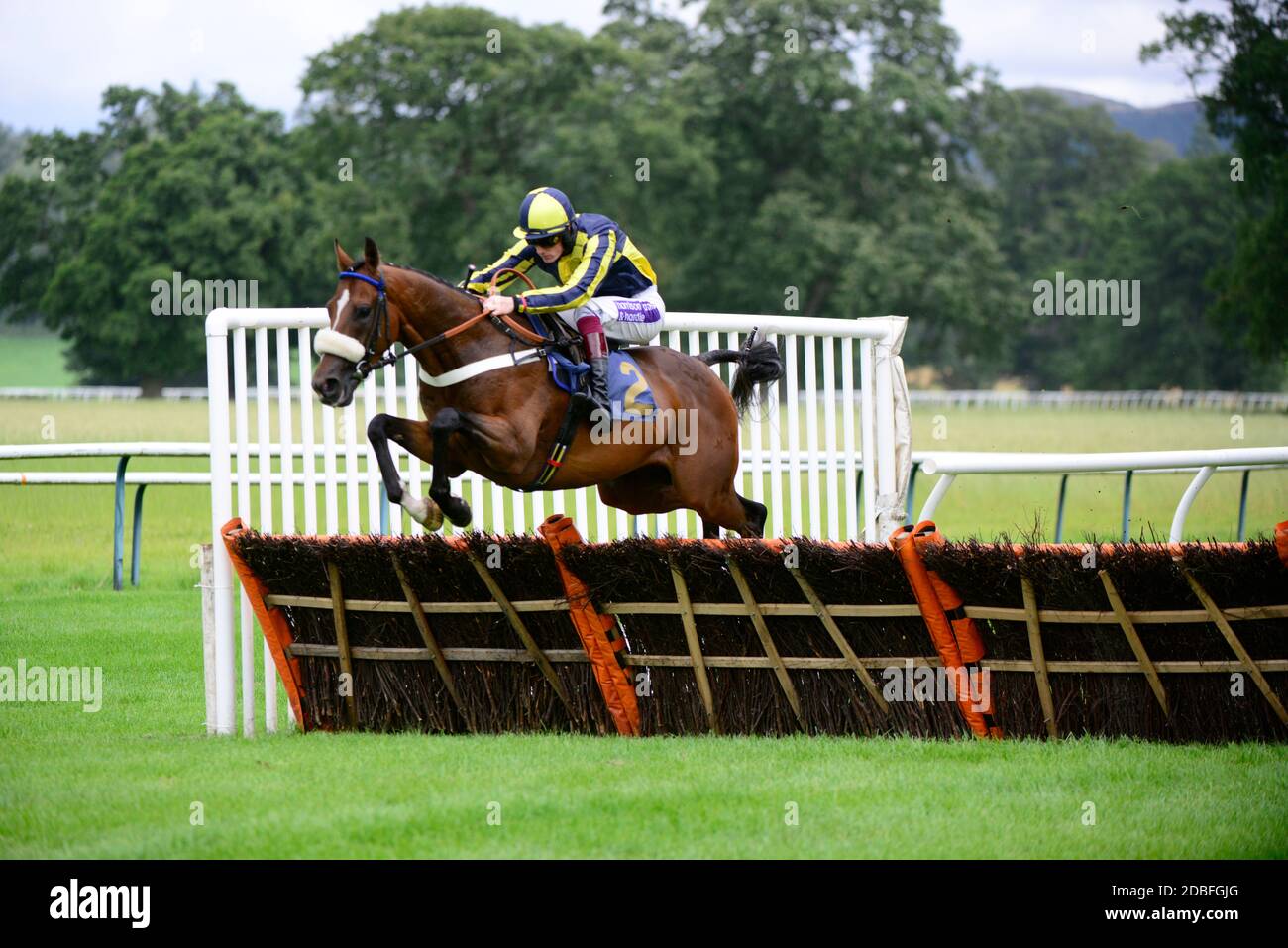 Horse racing and jumping a fence at Perth. Stock Photo