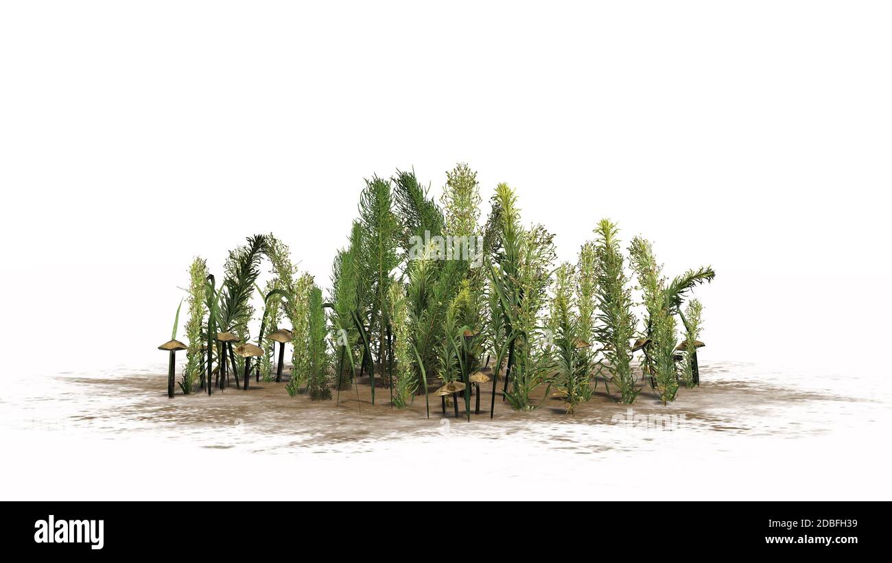 Mixed green plants on white background Stock Photo Alamy