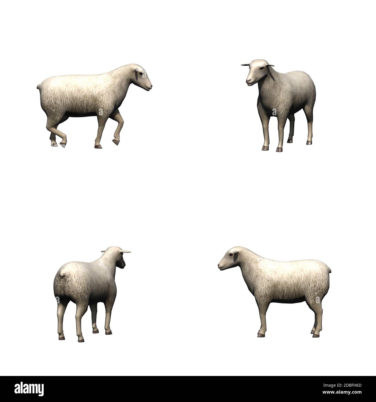 Set of farm animals - sheep - isolated on white background Stock Photo ...