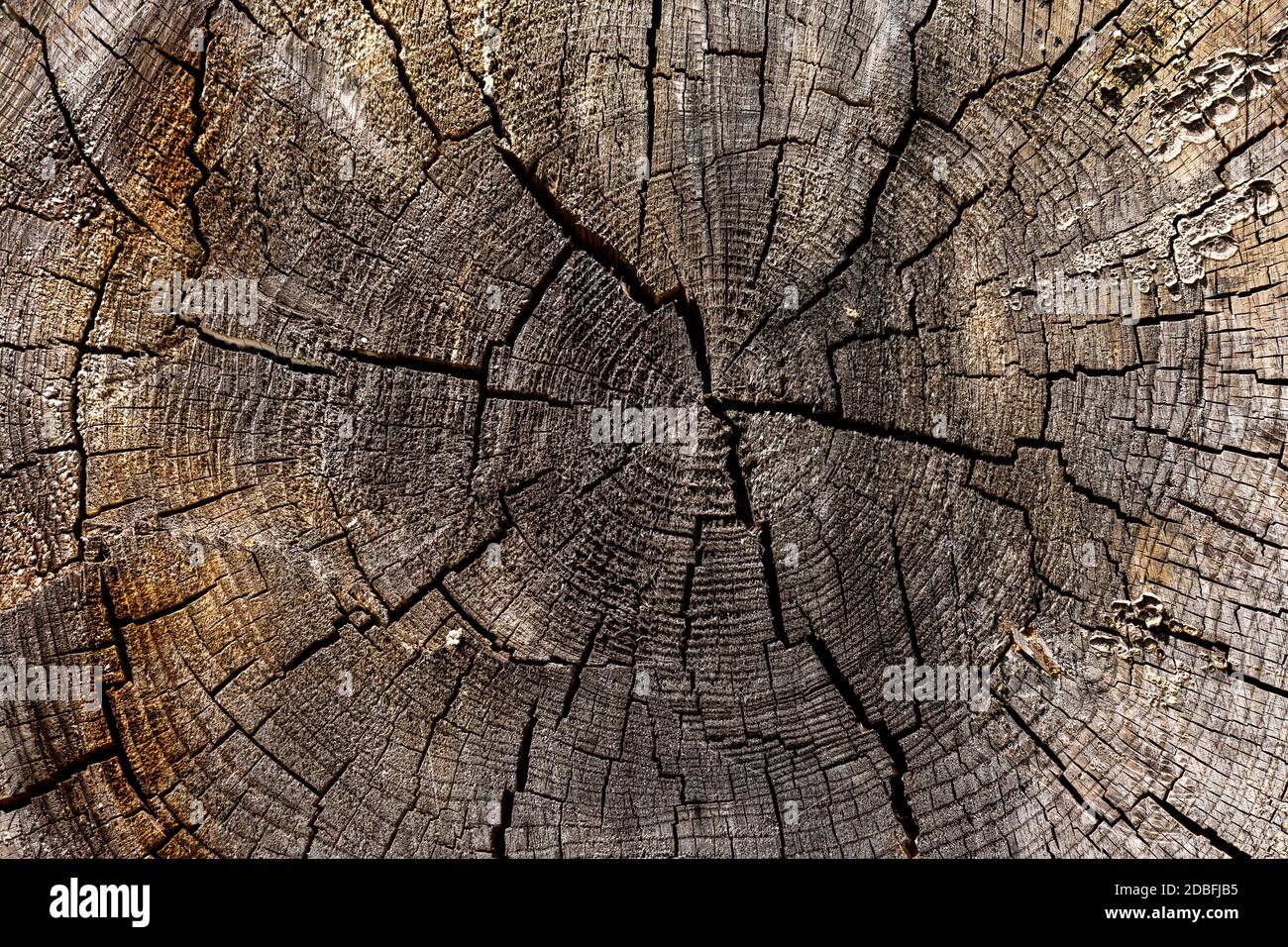 Old wood texture background Stock Photo