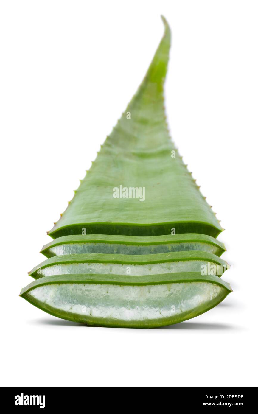 Green leaf of of aloe vera and slice with visible gel isolated on white background close up Stock Photo