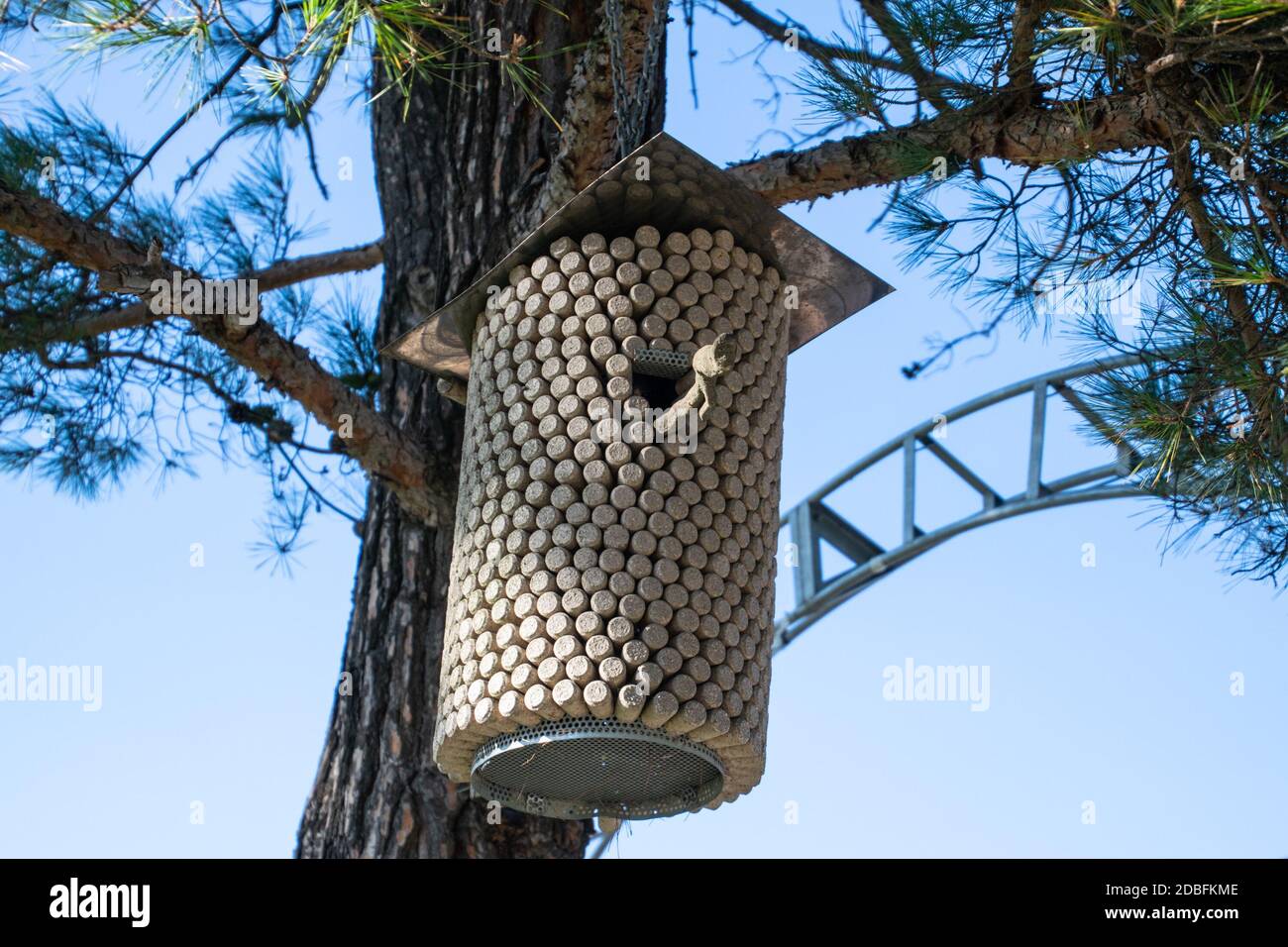Birdhouse made from corks from wine bottles. Birdhouse on a pine tree. Stock Photo