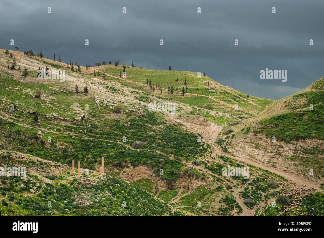 Green Hills near Pella, Jordan Stock Photo Alamy