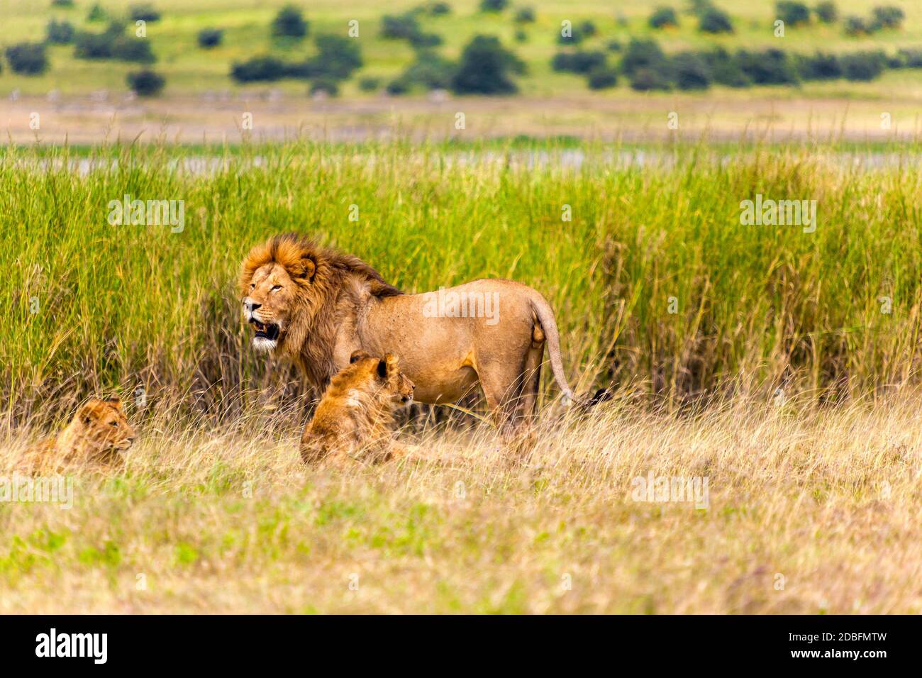 Екі еркекпен жыныстық қатынас Удмуртия