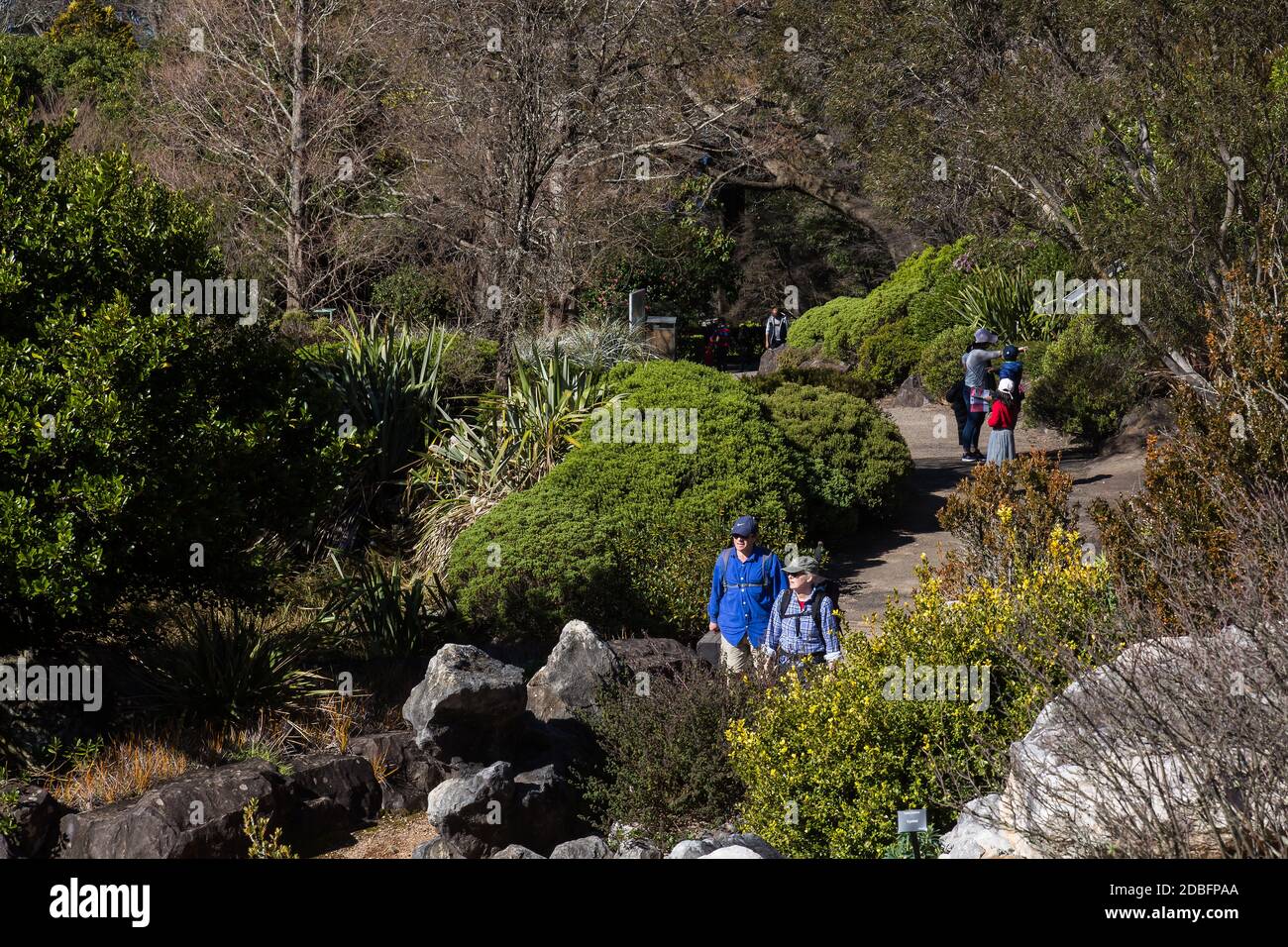 The Blue Mountains Botanic Garden, originally known as Mount Tomah Botanical Garden, is a 28-hectare public botanic garden located approximately 100 k Stock Photo