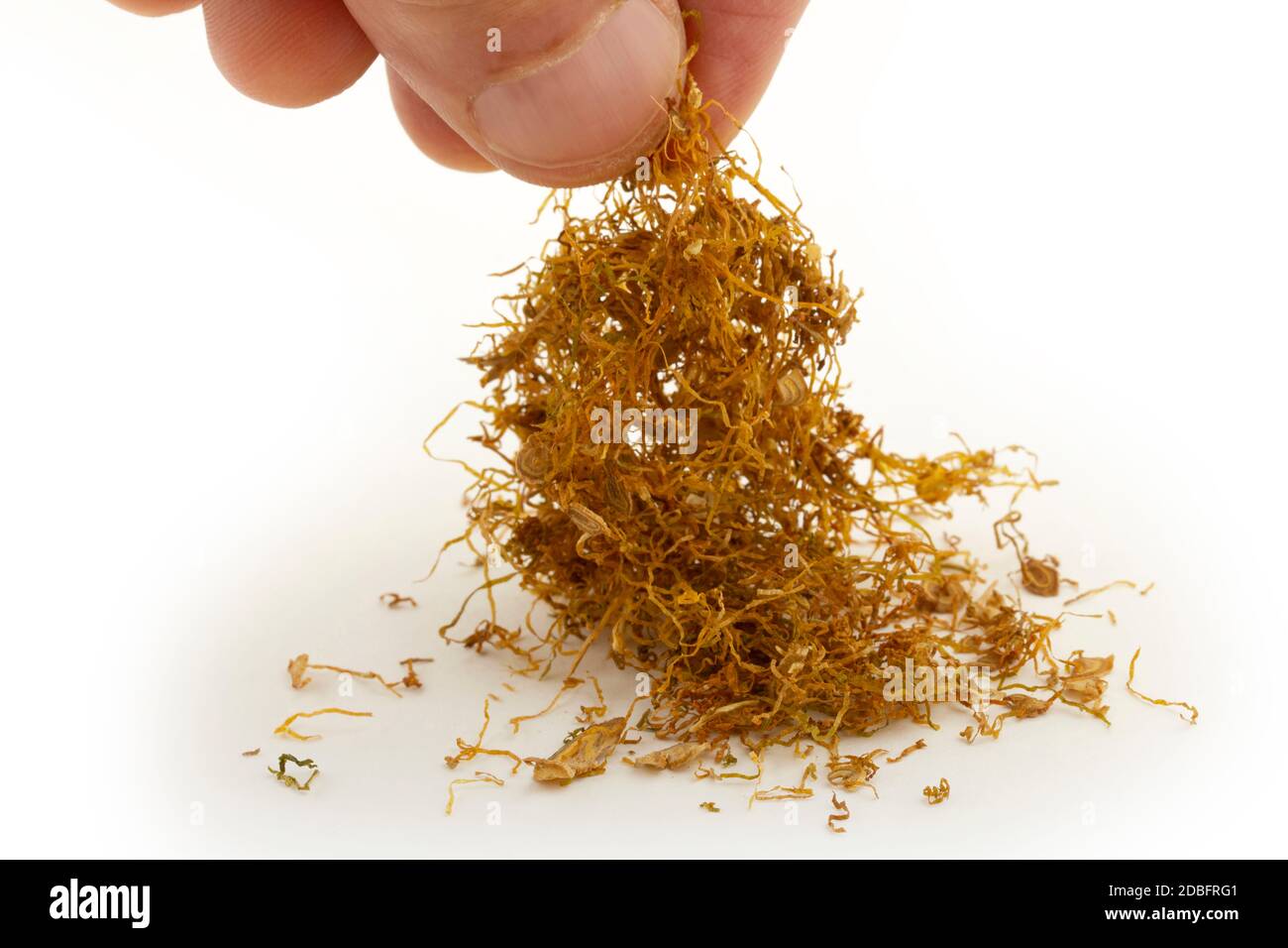 dried tobacco leaves on a white background Stock Photo - Alamy