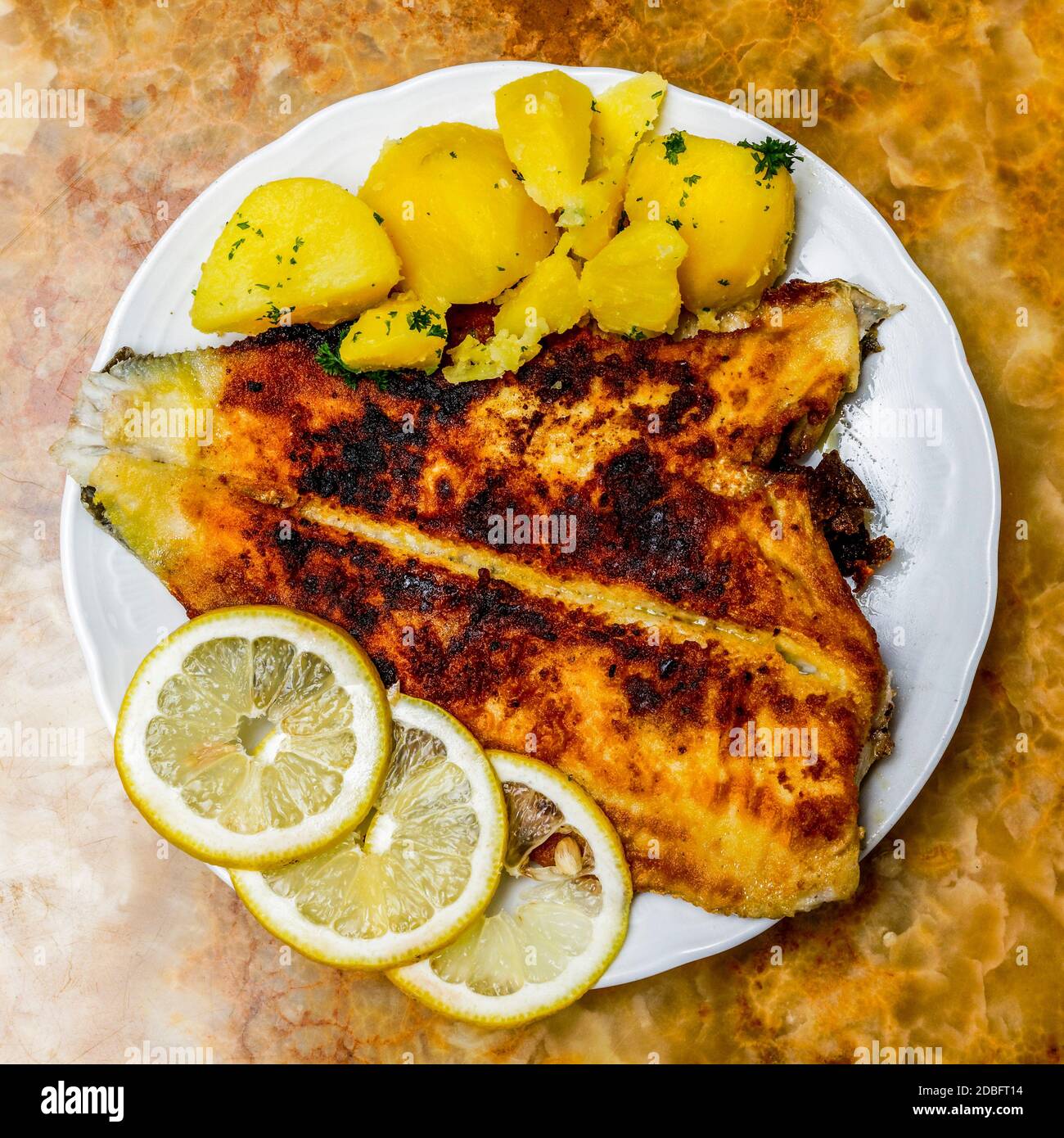 Schollenfilet, Plaice Fillet Stock Photo