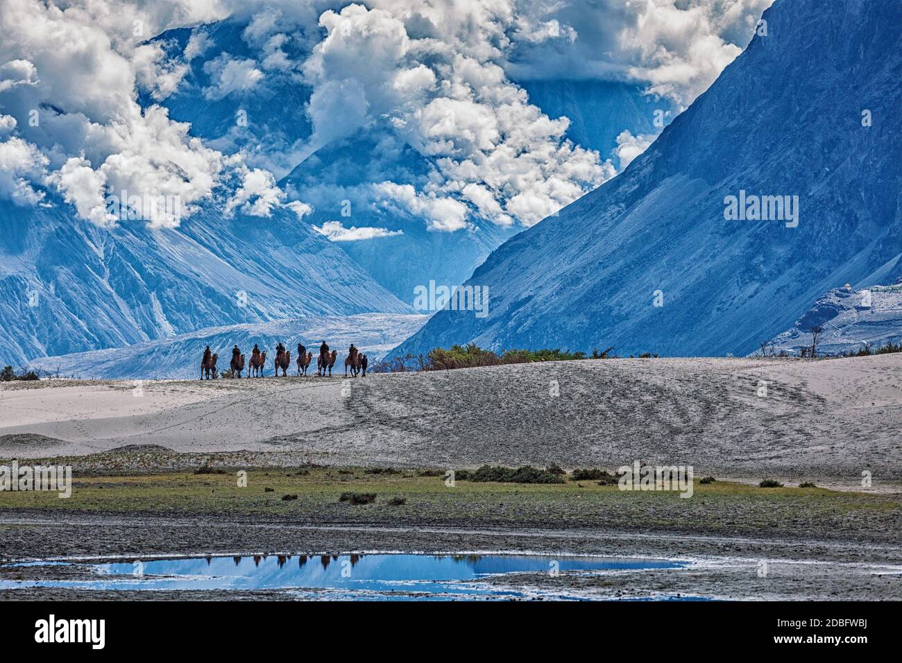Tourists riding camels in Nubra valley in Himalayas, Ladakh Stock Photo