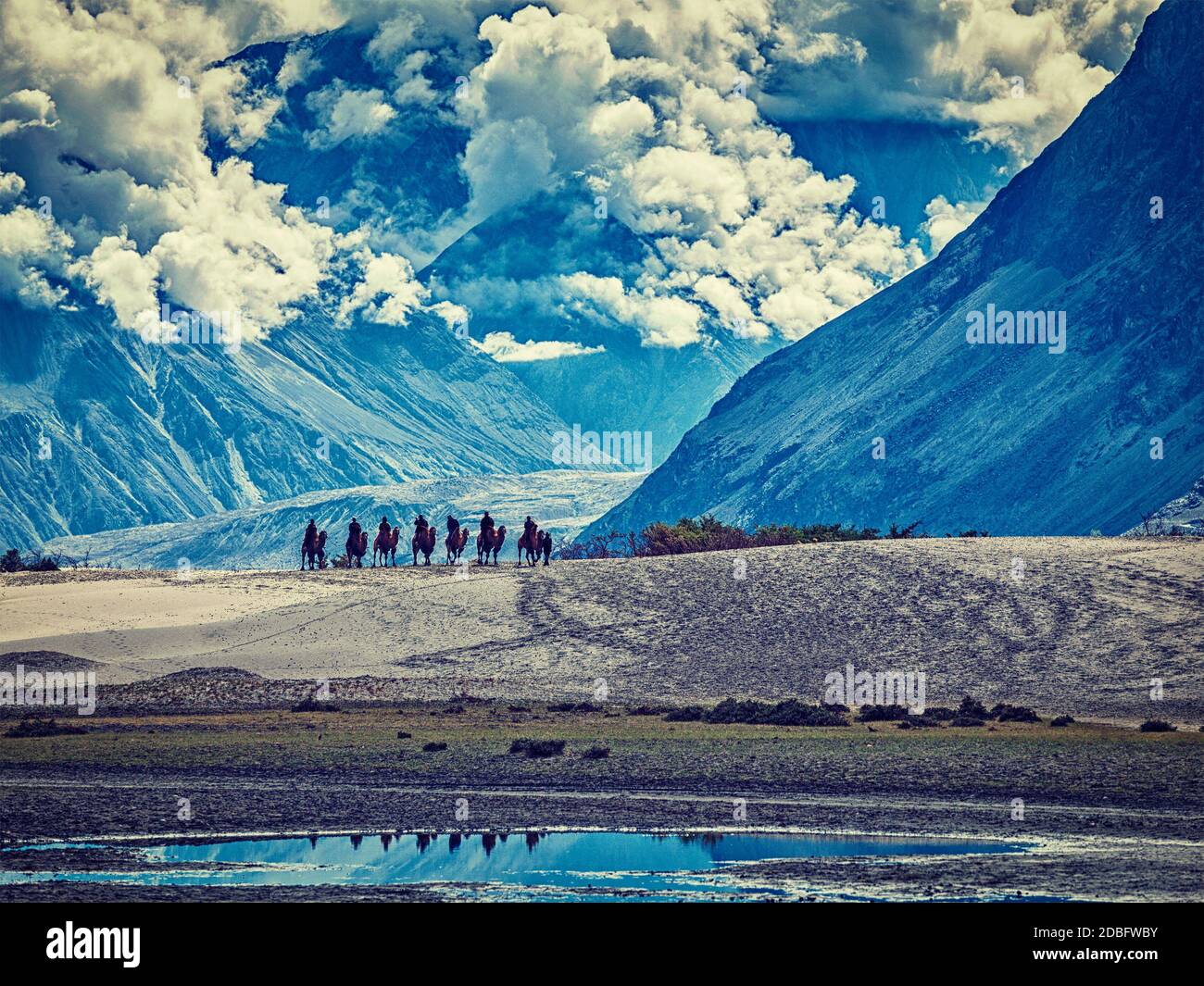 Vintage retro effect filtered hipster style image of Tourists riding camels in Nubra valley in Himalayas, Ladakh Stock Photo