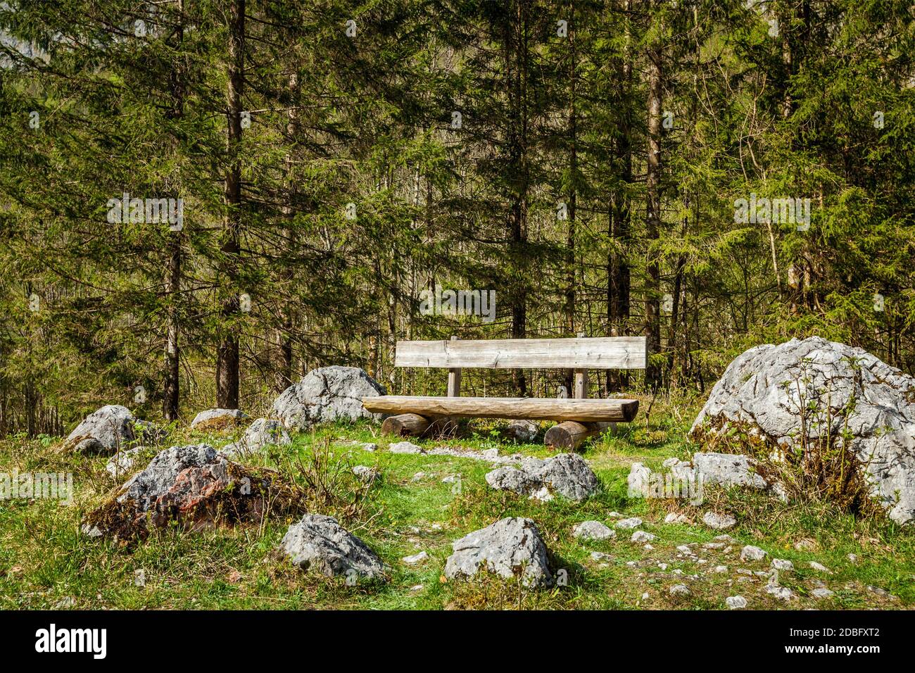 Germany Bench Lonely bench in forest, Germany Stock Photo - Alamy