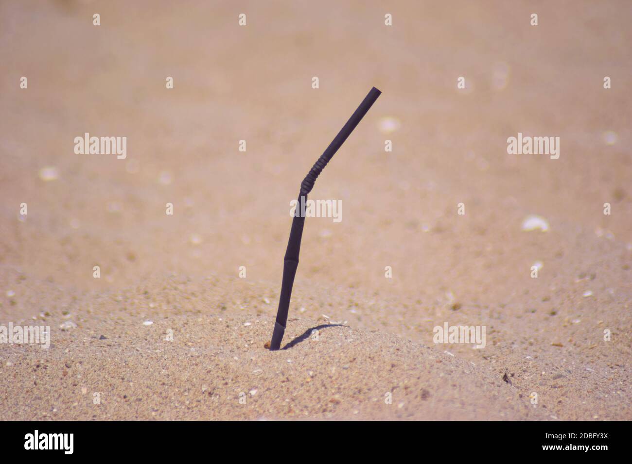 Plastic damage to environment hires stock photography and images Alamy
