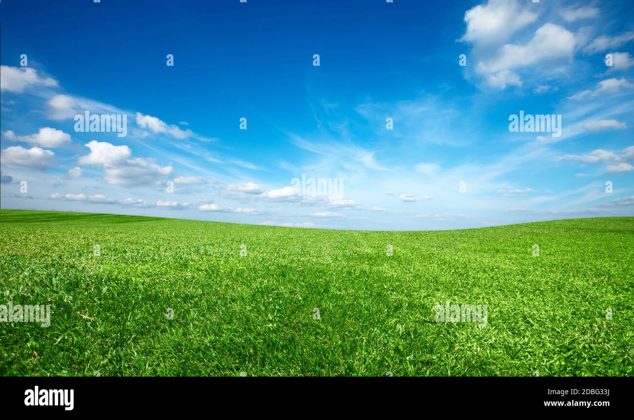 Fresh green grass blue sky hi-res stock photography and images - Alamy