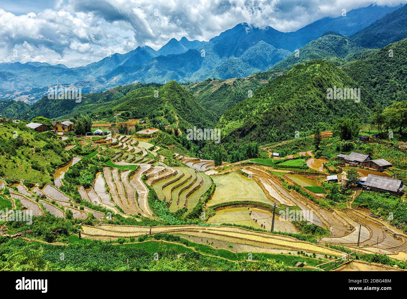 Rice field terraces (rice paddy fields). Near Cat Cat village popular
