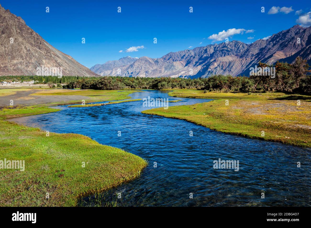Stream in Nubra valley in Hunder, Nubra valley, Ladakh, India Stock Photo