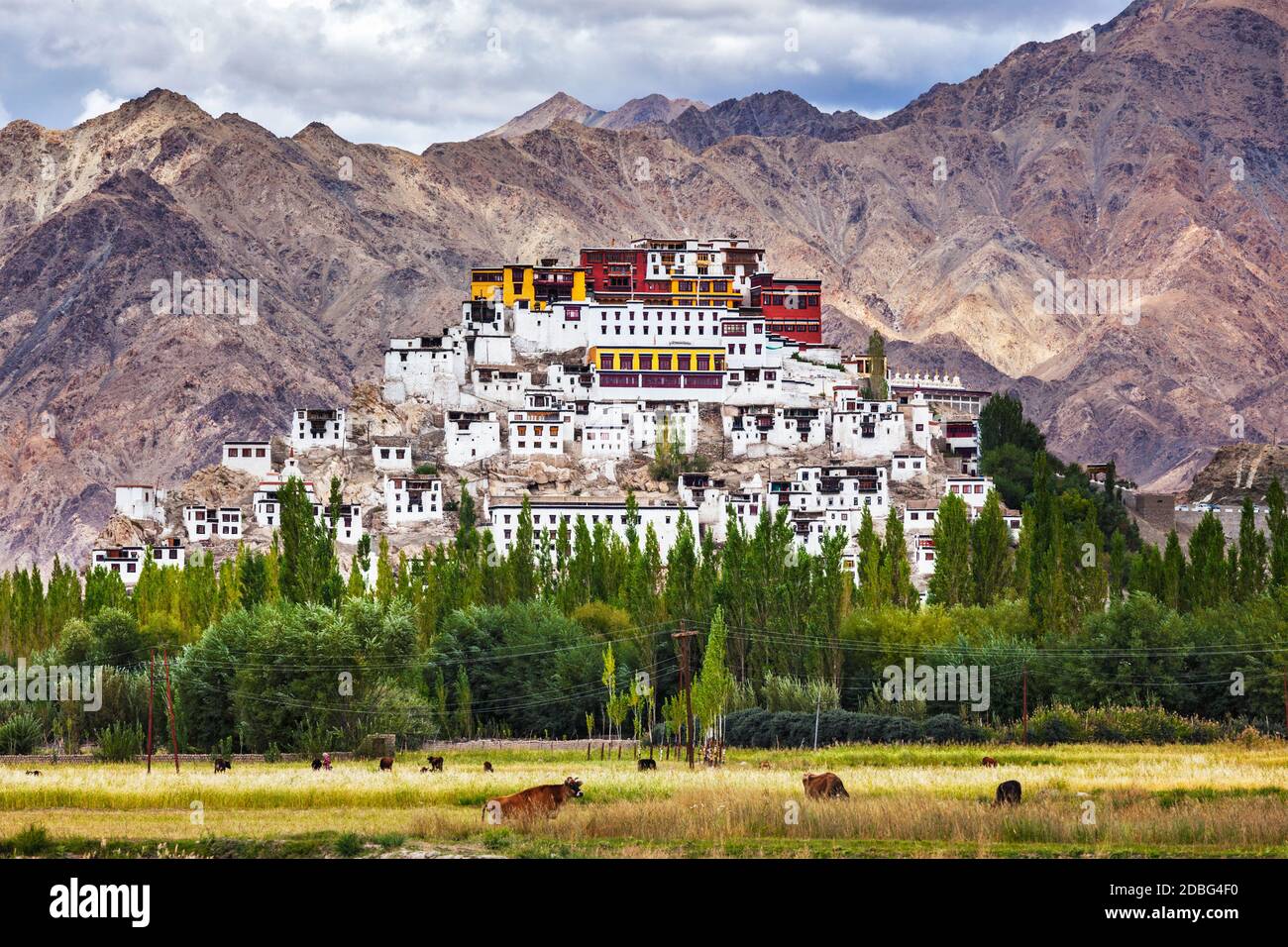Thikse Gompa or Thikse Monastery (also transliterated from Ladakhi as Tikse, Tiksey or Thiksey) - Tibetan Buddhist monastery of the Yellow Hat (Gelugp Stock Photo