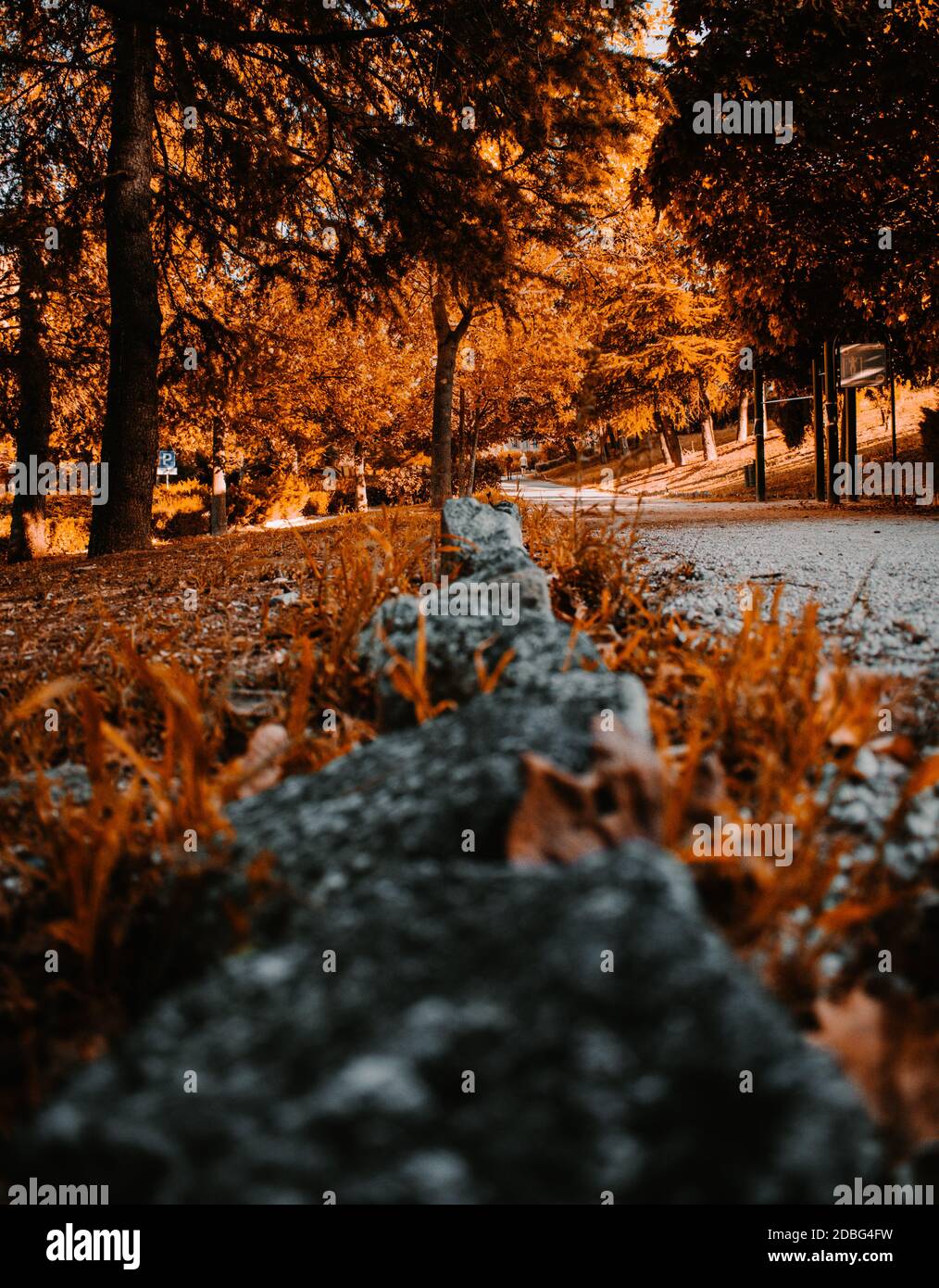 Wide angle shot fallen hi-res stock photography and images - Alamy