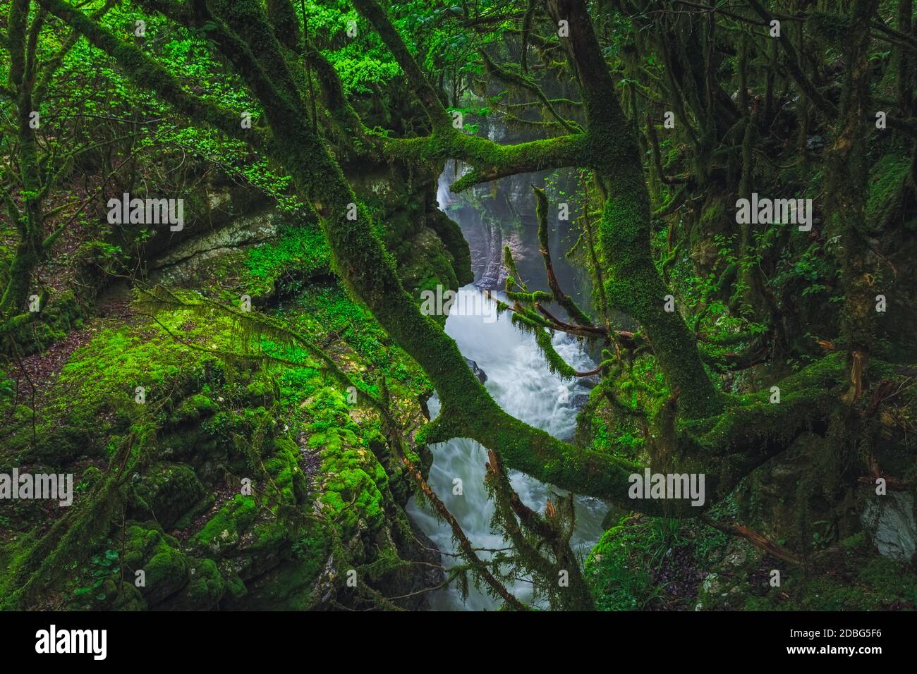 Waterfall in Gachedili canyon, wild place Stock Photo Alamy