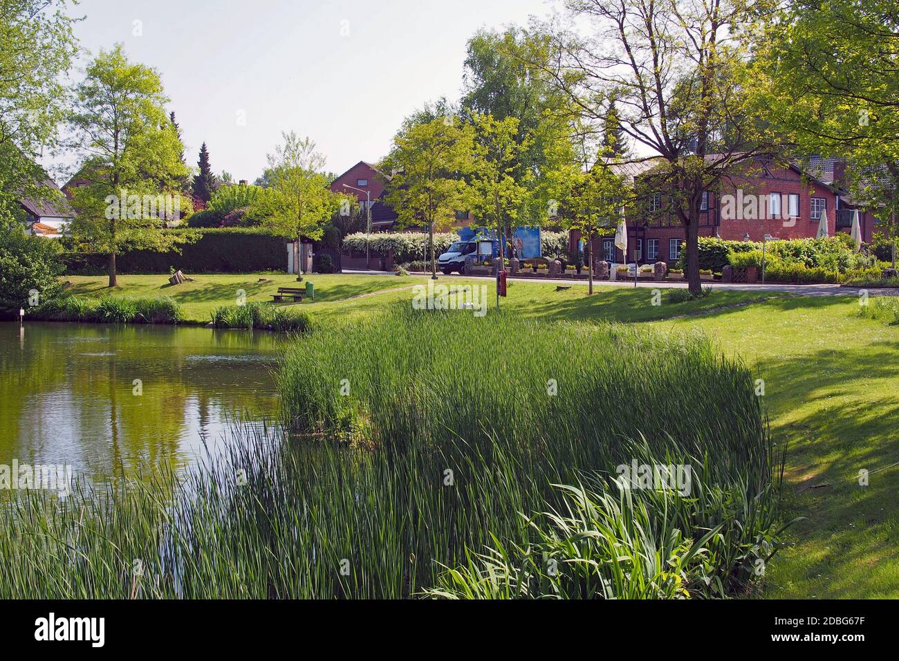 OLYMPUS DIGITAL CAMERA Stock Photo