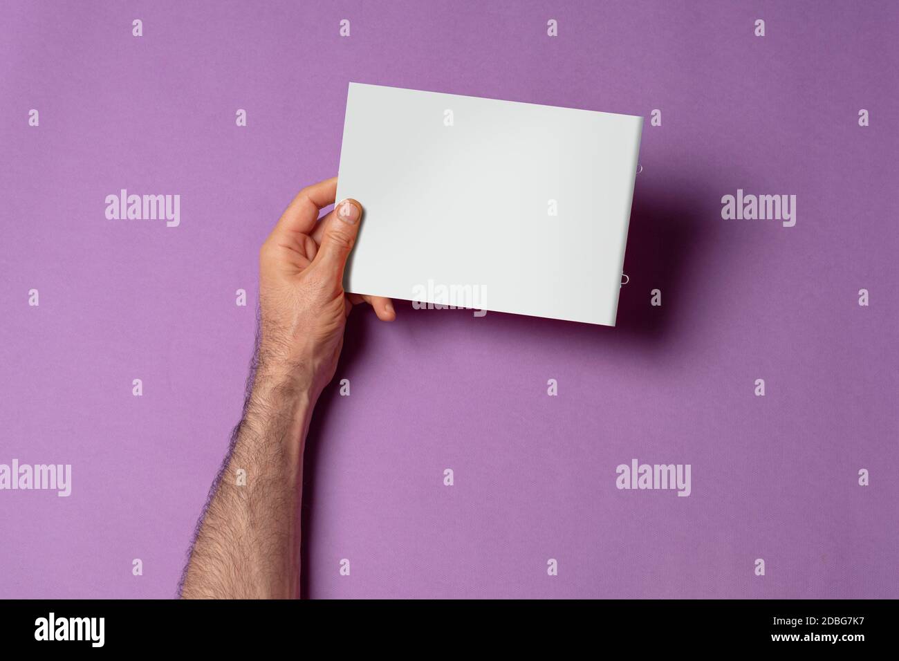 Male hands holding a small a5 catalog with blank cover on purple