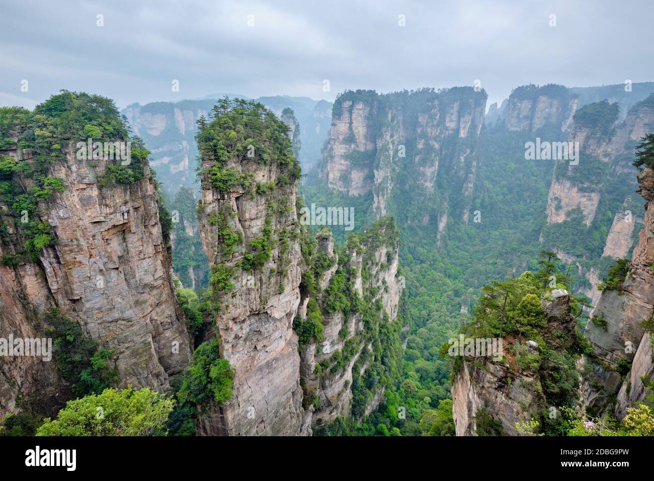 Cultural Tourism Wusong Mountain Scenery Strange Stone Zhangjiajie  Wulingyuan Avatar Film Background The Film Decorative Pattern Cinema  Background Image And Wallpaper for Free Download