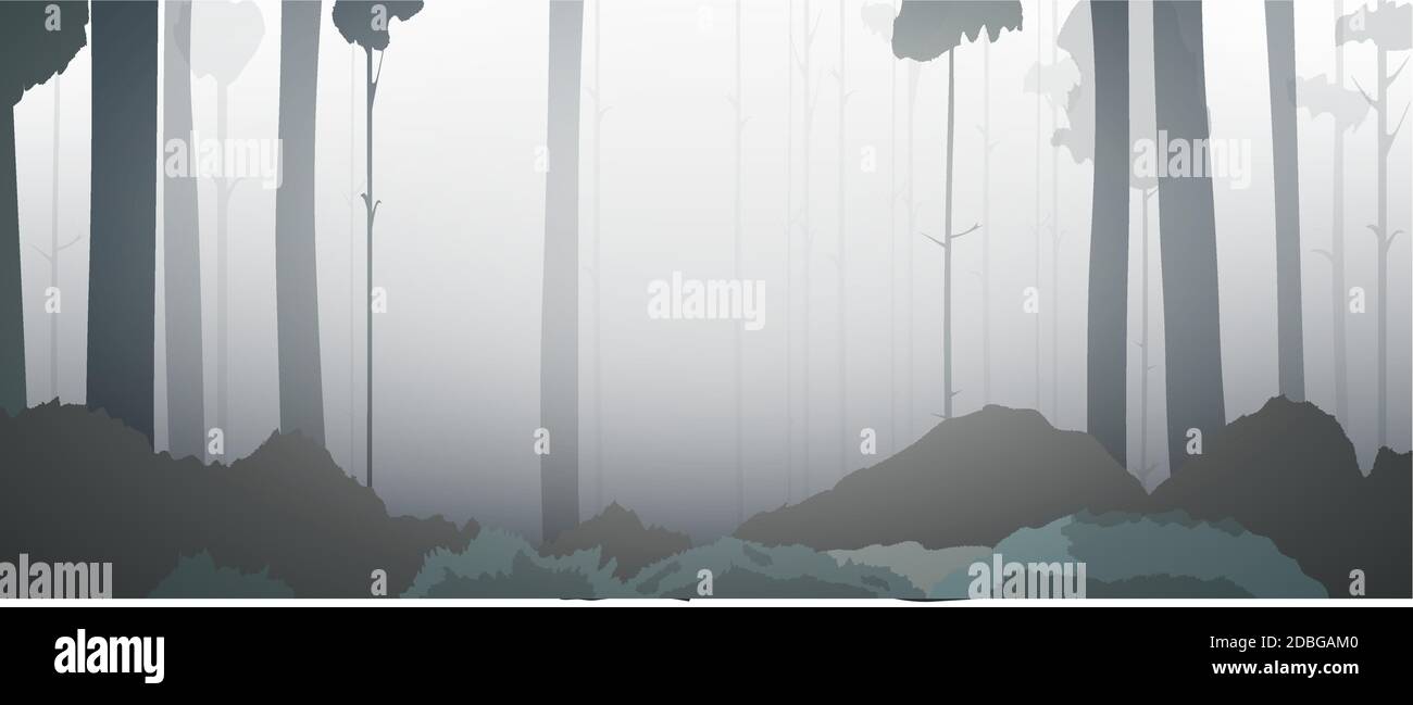 Vector background of dark forest at sunrise. Forest twilight vector ...