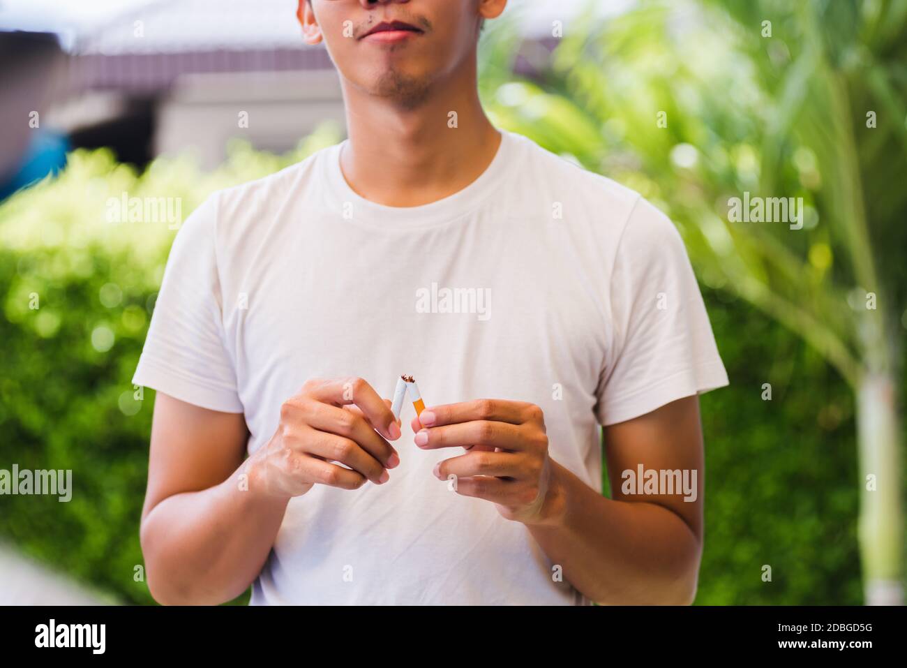 May 31 of World No Tobacco Day, Asian smoker man use hands breaking down cigarettes on green leaves background, Stop or quit smoking concept Stock Photo