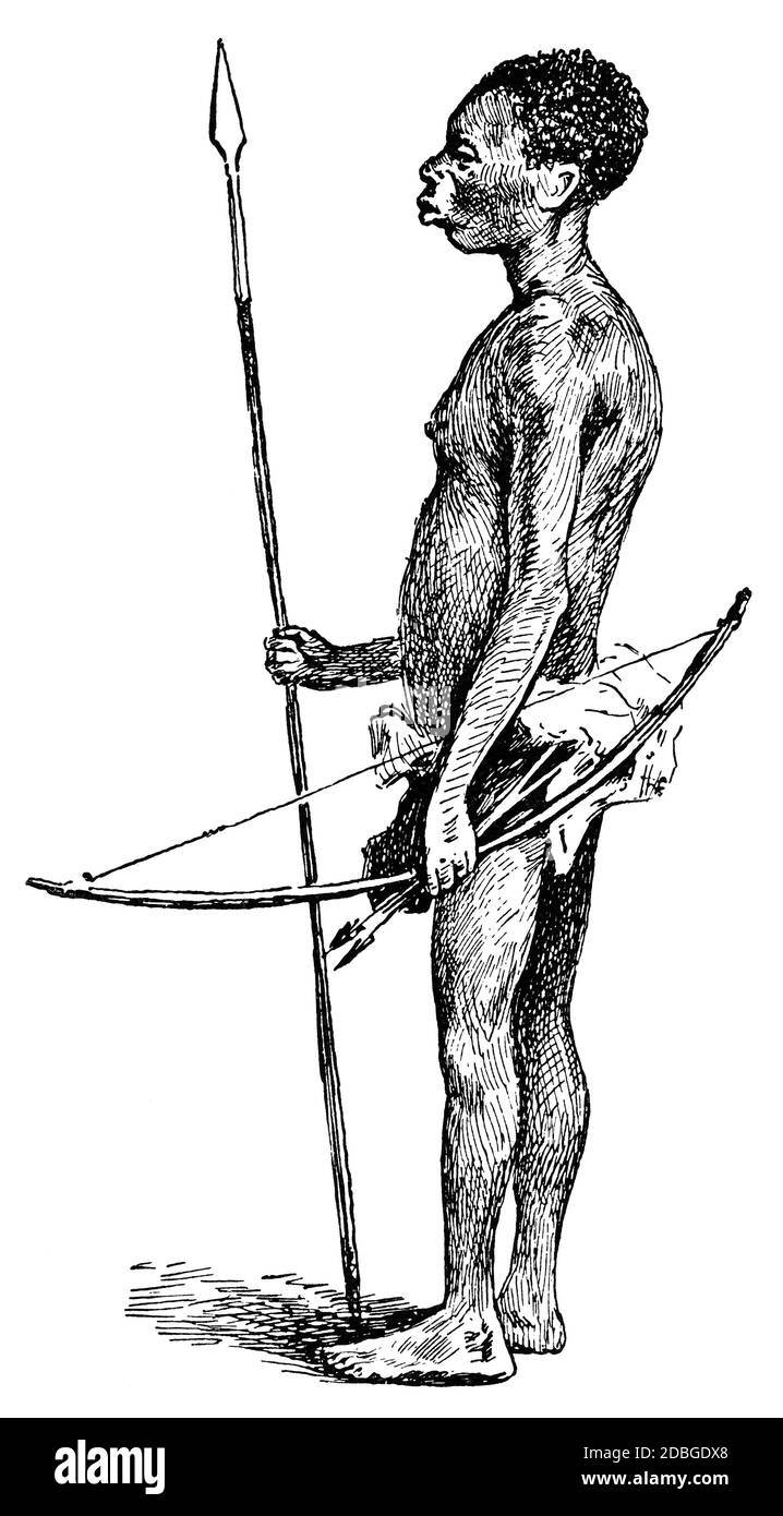 The Aka or Bayaka are a nomadic Mbenga pygmy people. Illustration of the 19th century. White background. Stock Photo