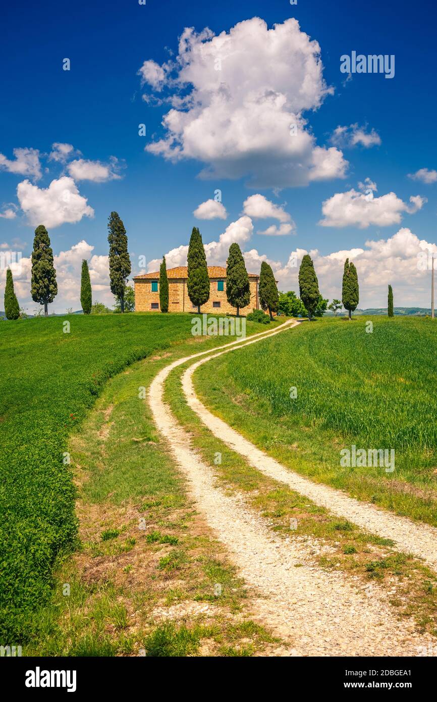 Rolling hills in Tuscany on a sunny day with dramatic clouds Stock Photo -  Alamy