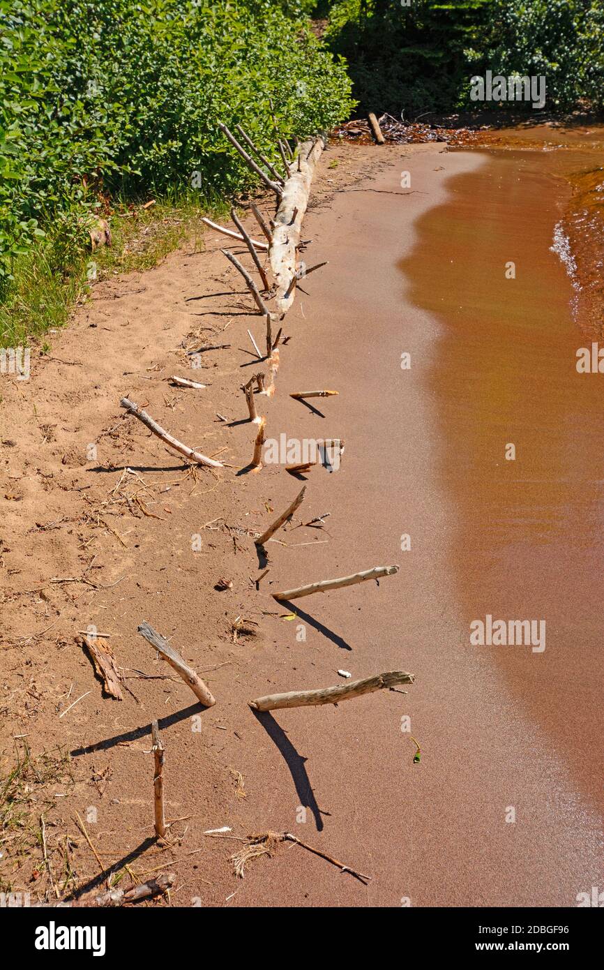Dead Tree Buried on a Sandy Shore on Middlebrun Bay on Lake Superior in Sleeping Giant Provincial Park in Ontario, Canada Stock Photo