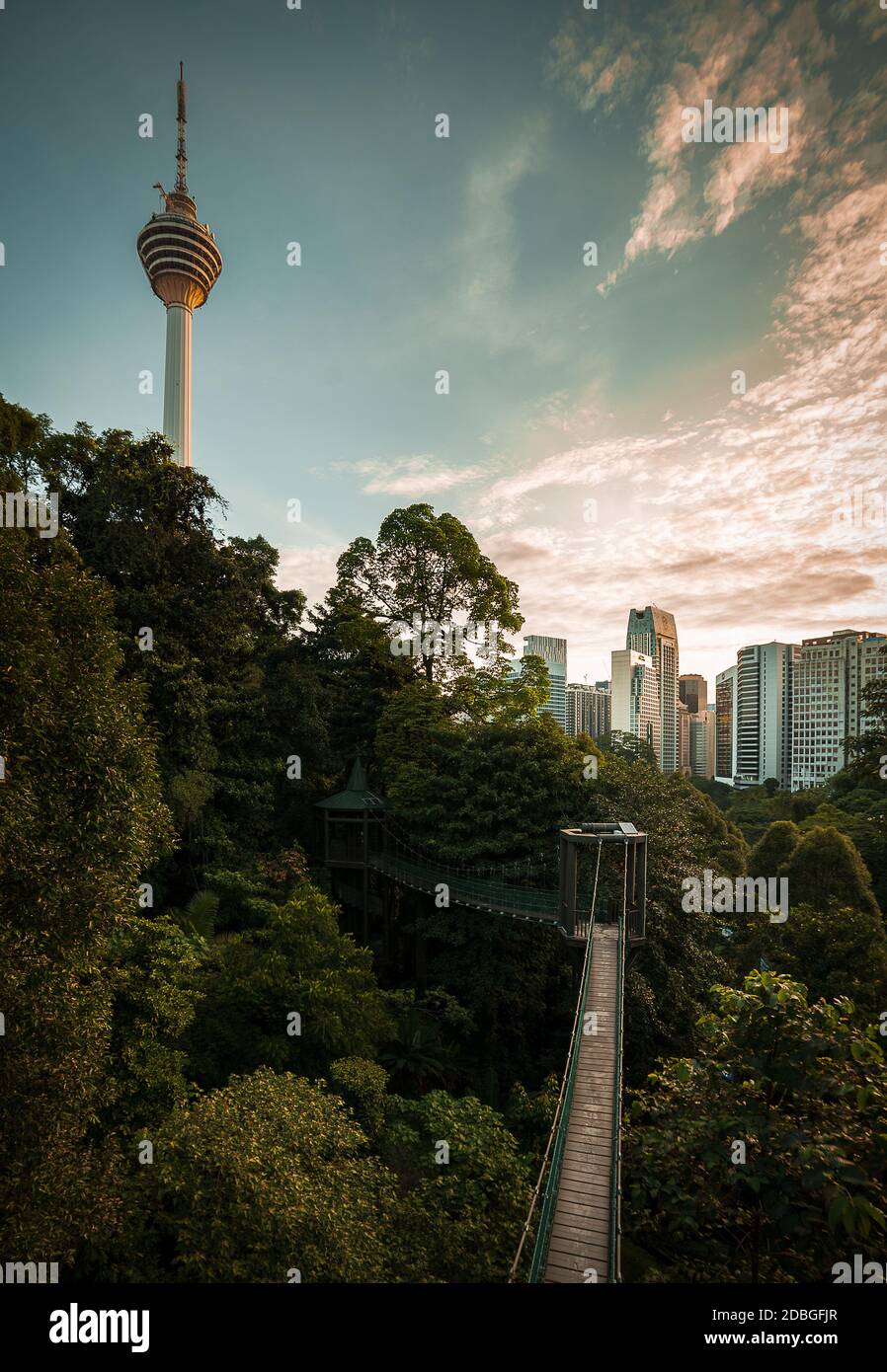 Kuala Lumpur Eco Forest Park with KL tower view Stock Photo