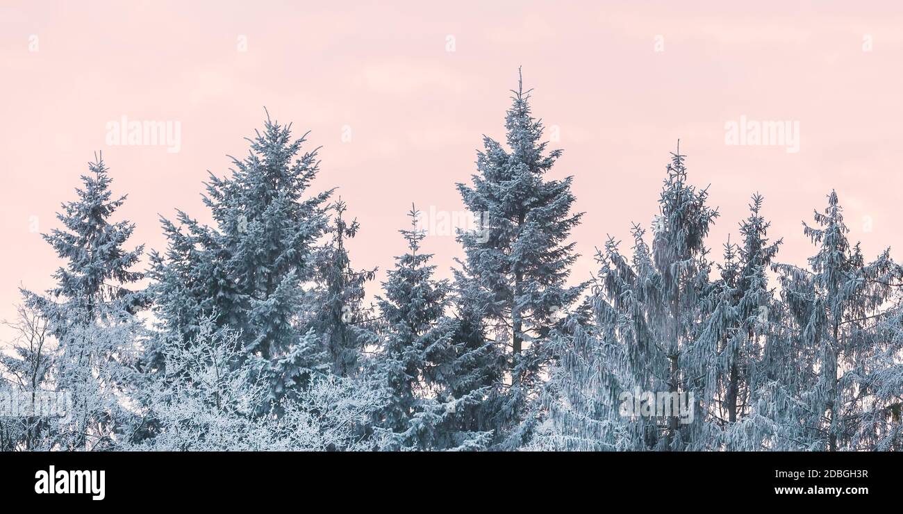 Veluwezoom National Park Hi res Stock Photography And Images Alamy