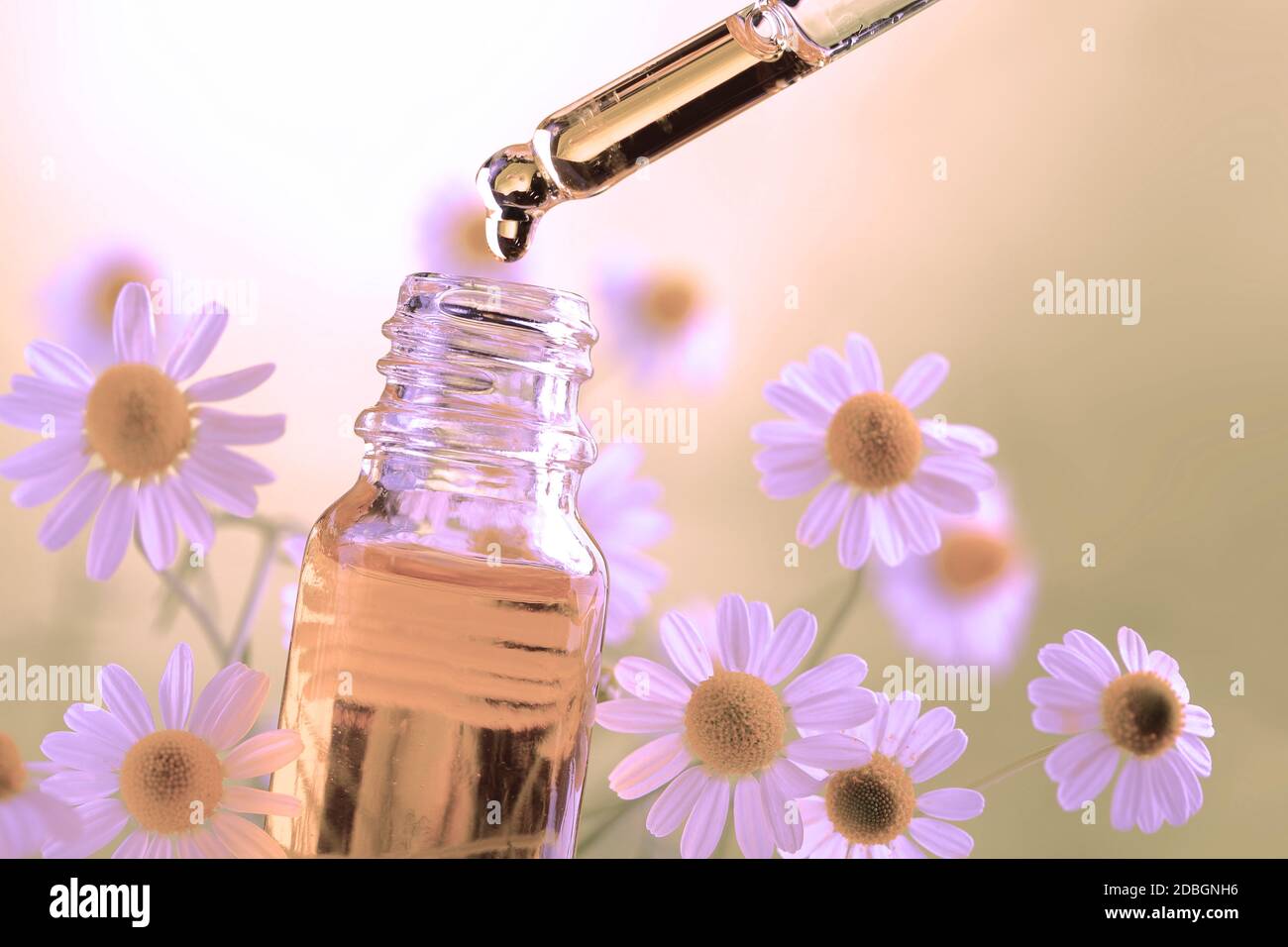 Spa aromatherapy relax site Stock Photo Alamy
