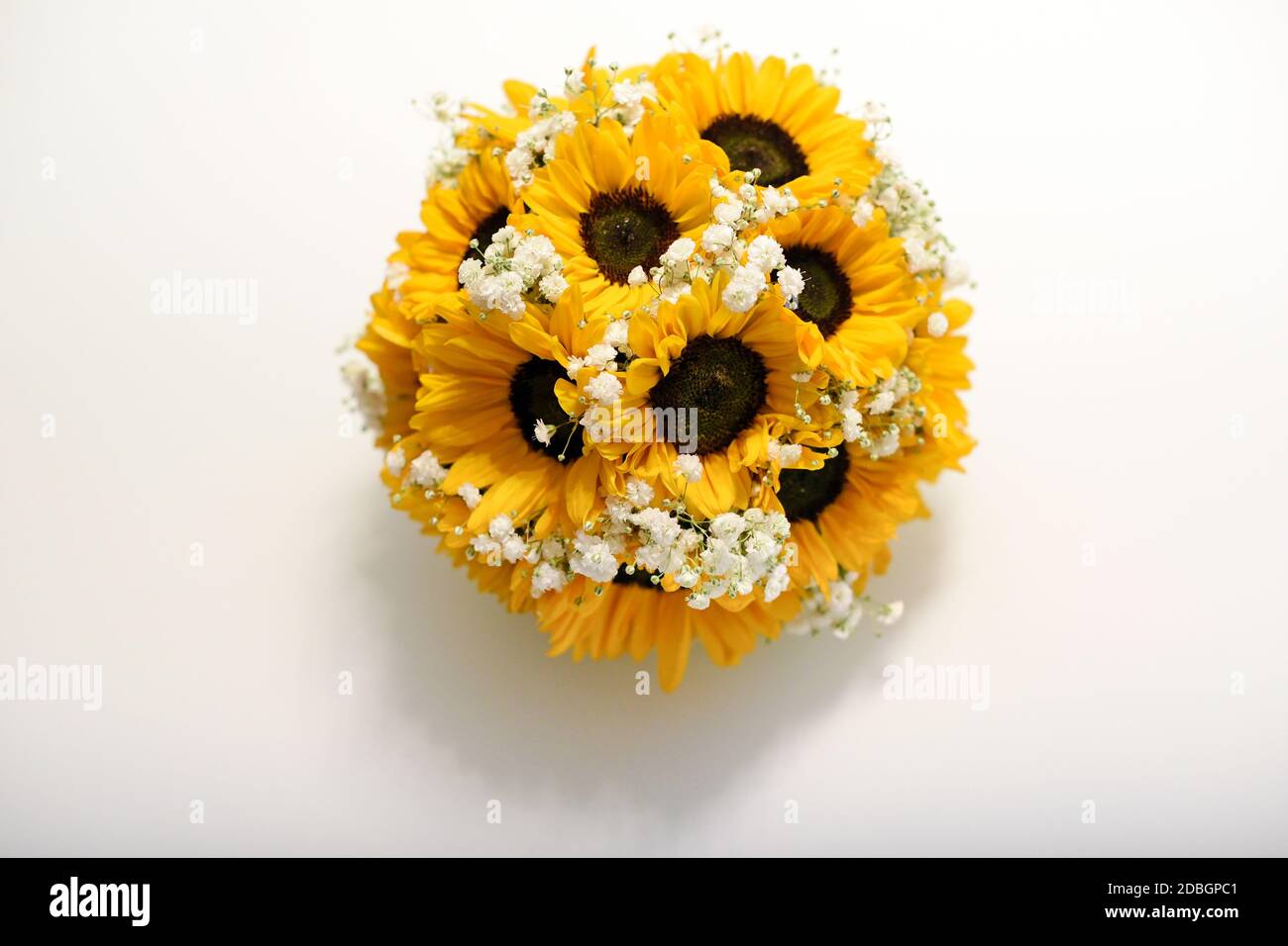 Round posy of colorful yellow sunflowers interspersed with dainty white blossom viewed top down on white with copyspace Stock Photo