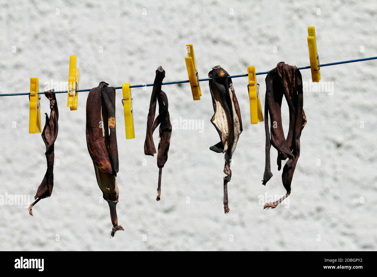 banana peel, drying Stock Photo
