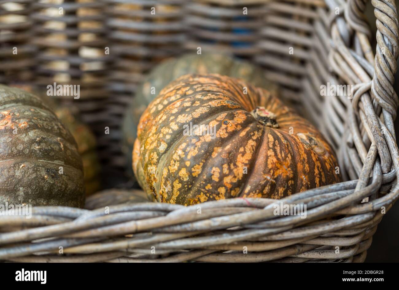 Group of ripe pumpkins in basket on display at local market Stock Photo ...