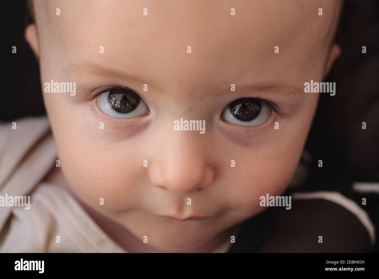 Baby with big brown eyes looks up in amazement. The photographer is reflected in the child's eyes. Stock Photo