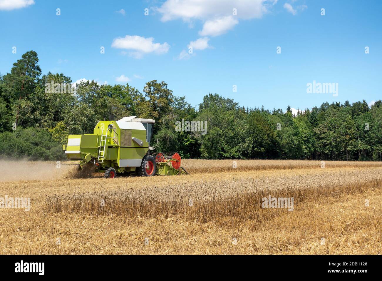 Grain field is harvested by a combine harvester Stock Photo