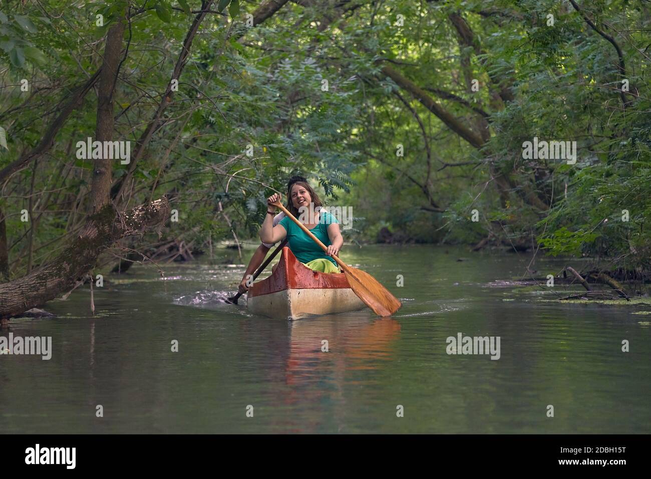 Canoeing in the water passages of Lake Tisza Stock Photo Alamy